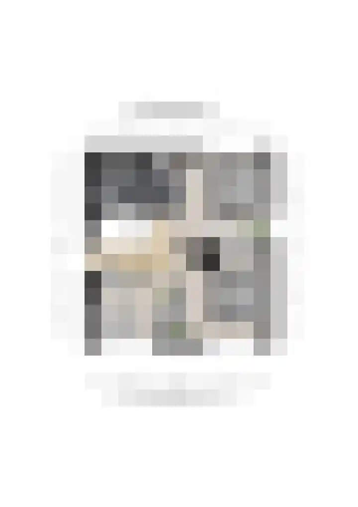 Beeksestraat 40 A Prinsenbeek thumbnail 39