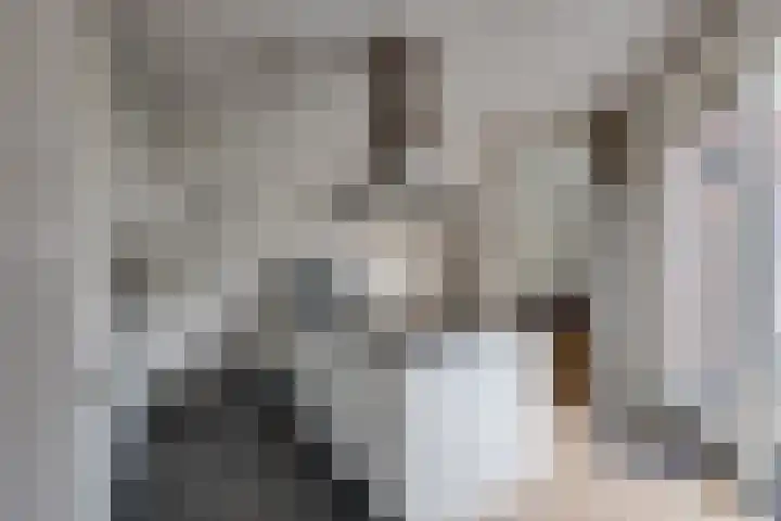 Beeksestraat 40 A Prinsenbeek thumbnail 4