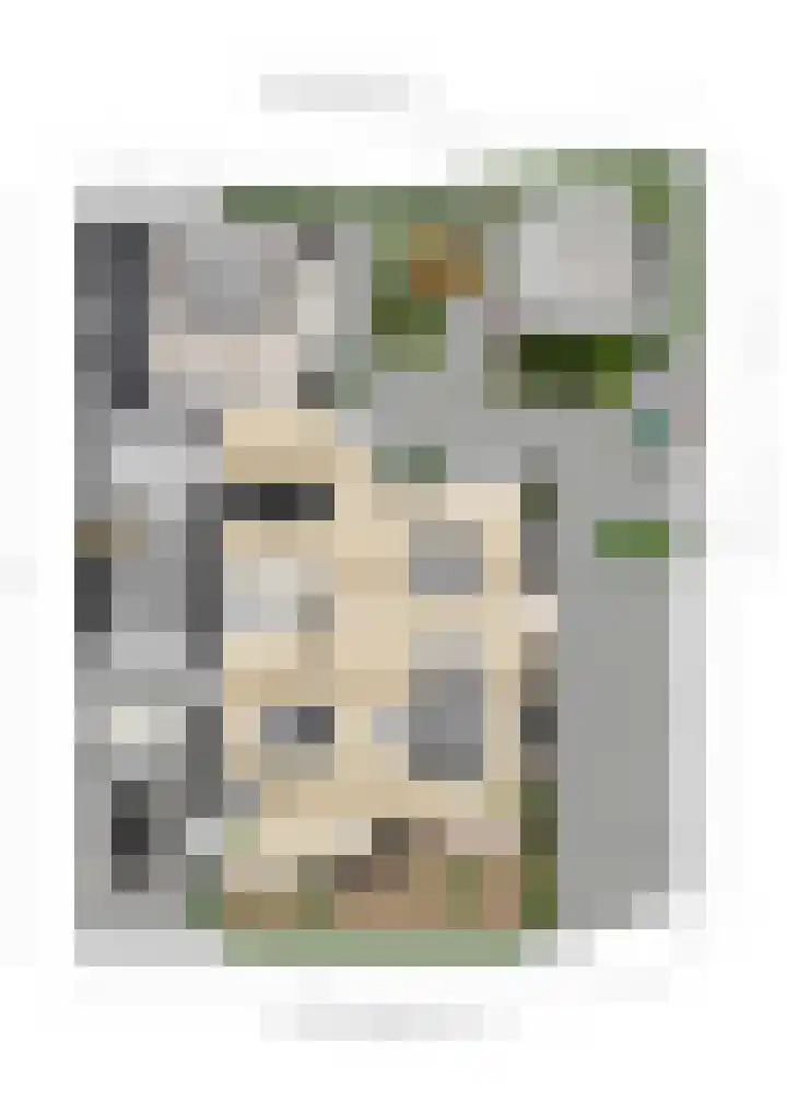 Beeksestraat 40 A Prinsenbeek thumbnail 40