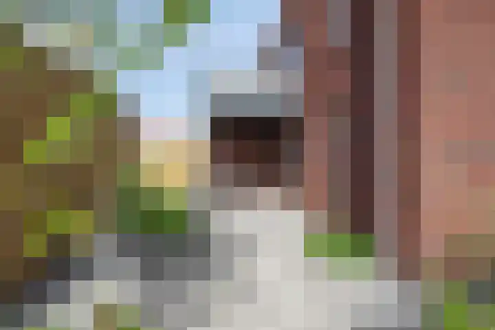 Beeksestraat 53 A Prinsenbeek thumbnail 17