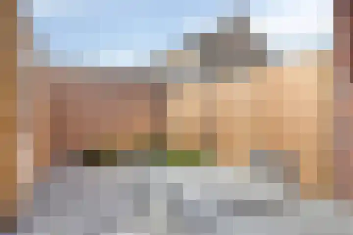 Beeksestraat 53 A Prinsenbeek thumbnail 19