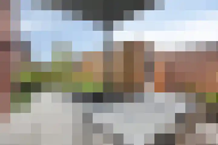 Beeksestraat 53 A Prinsenbeek thumbnail 4