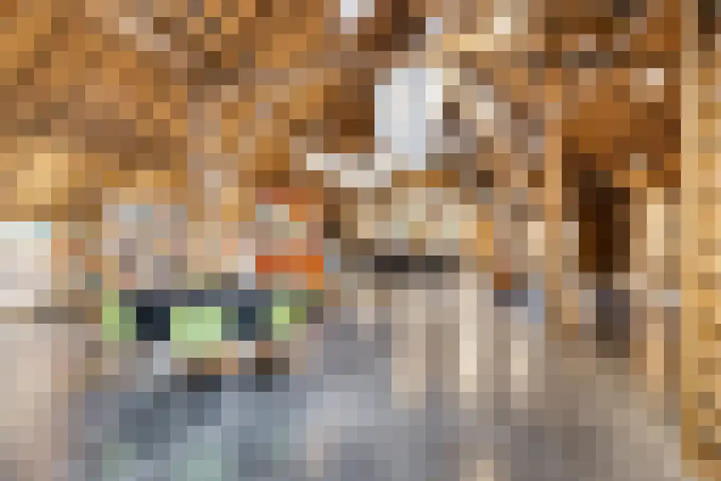 Beeksestraat 76 Prinsenbeek thumbnail 11