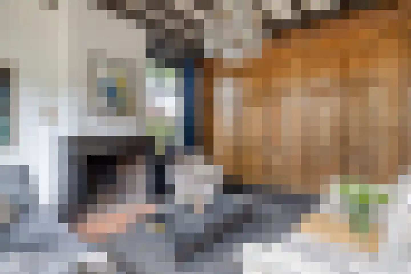 Beeksestraat 76 Prinsenbeek thumbnail 12