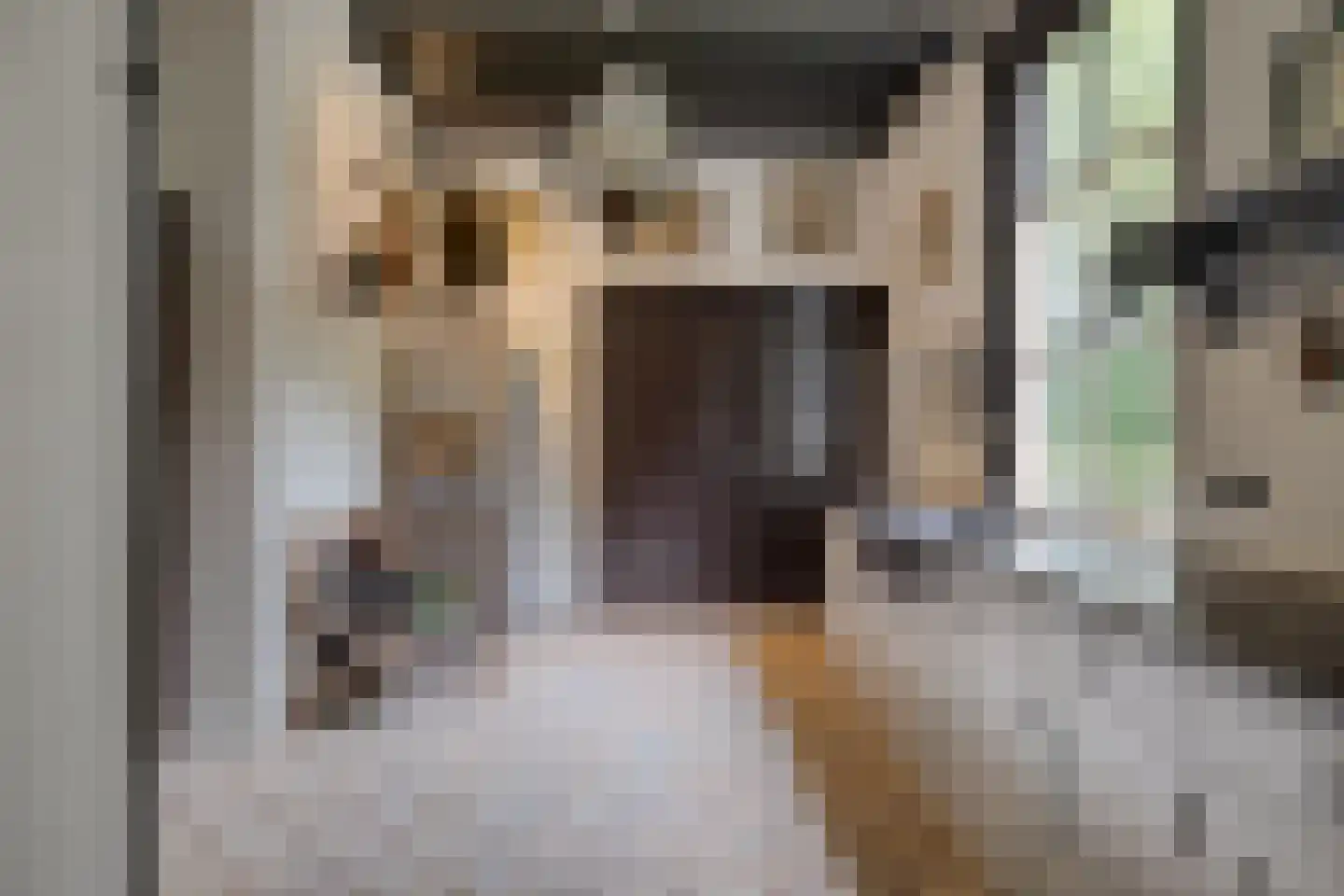 Beeksestraat 76 Prinsenbeek thumbnail 18