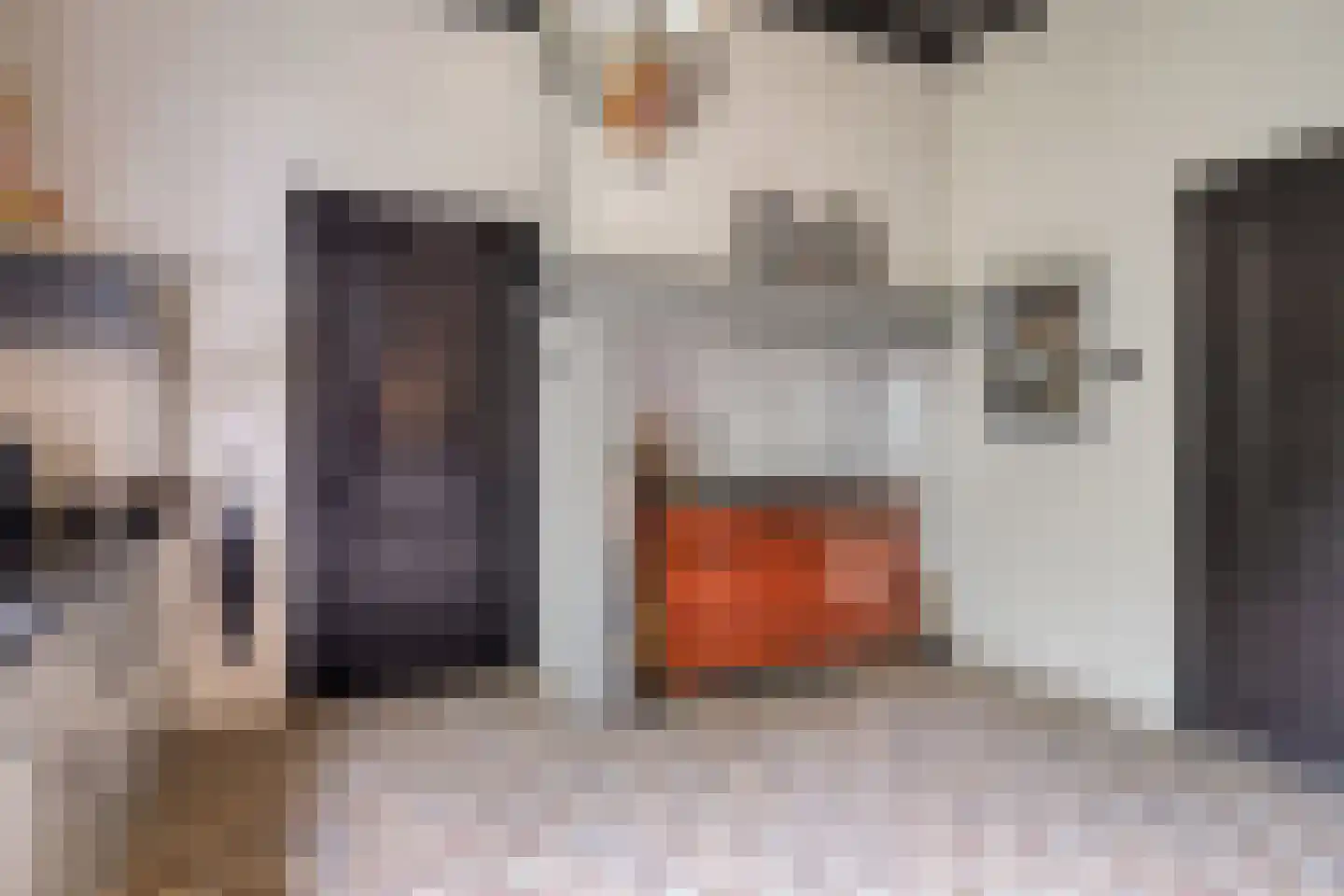 Beeksestraat 76 Prinsenbeek thumbnail 20