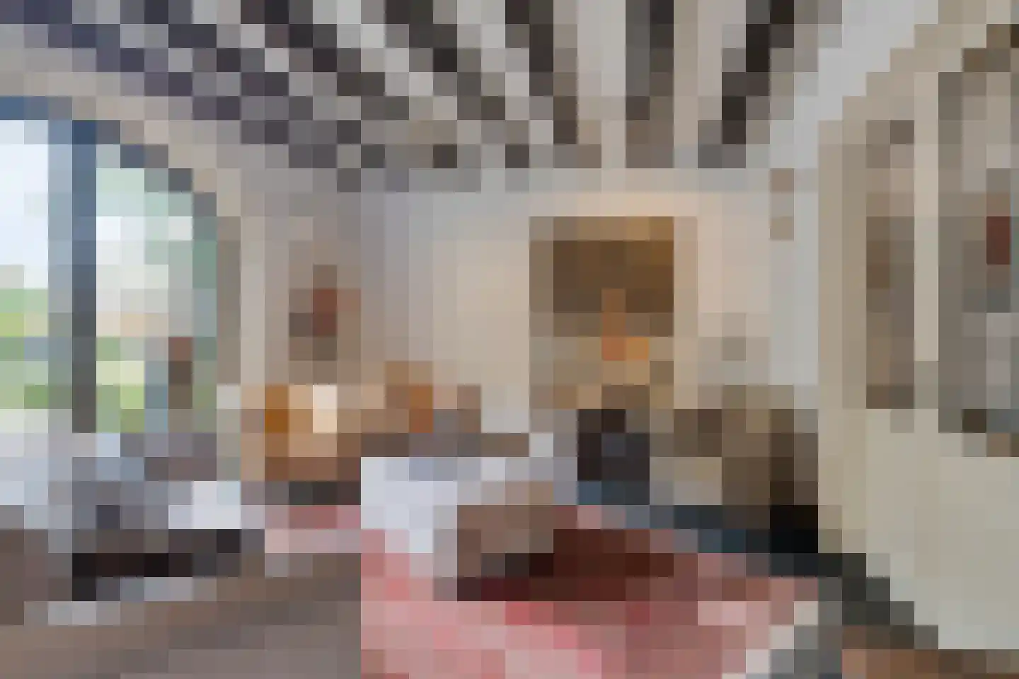 Beeksestraat 76 Prinsenbeek thumbnail 28