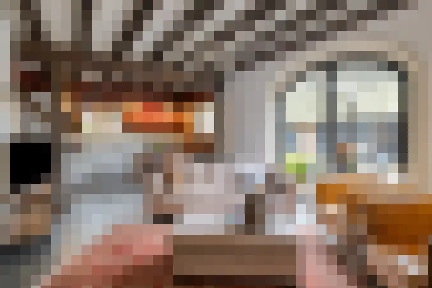 Beeksestraat 76 Prinsenbeek thumbnail 29