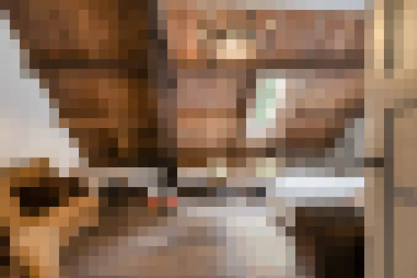 Beeksestraat 76 Prinsenbeek thumbnail 38