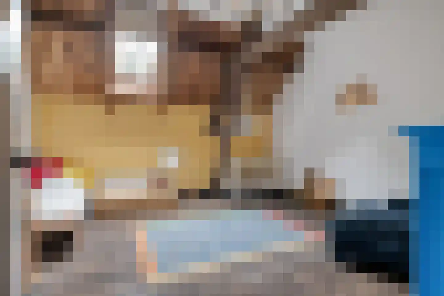 Beeksestraat 76 Prinsenbeek thumbnail 38