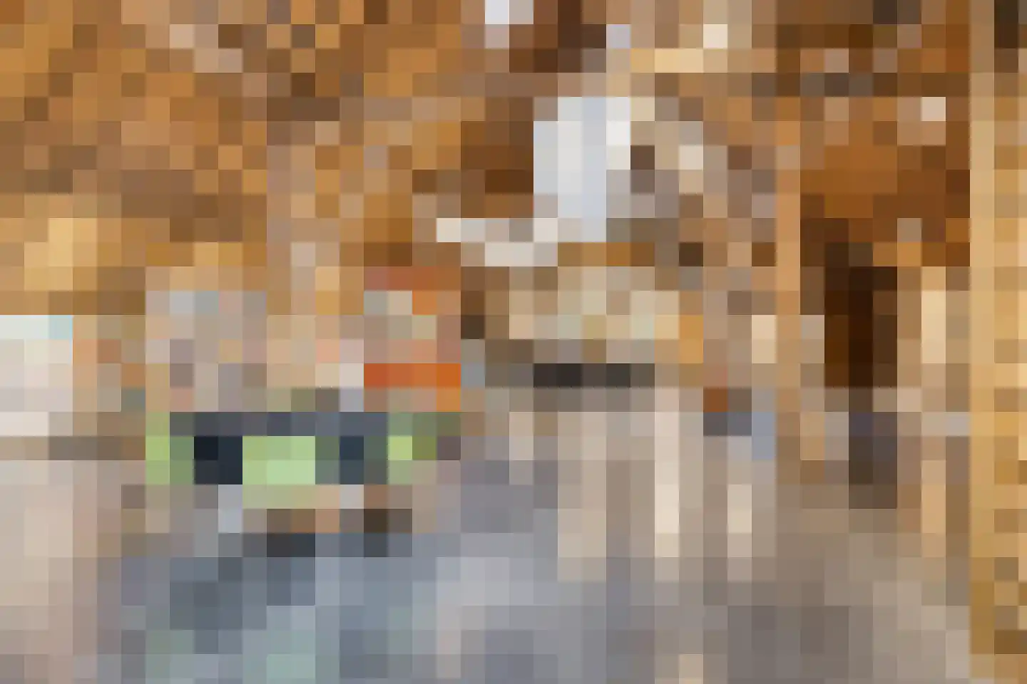 Beeksestraat 76 Prinsenbeek thumbnail 4