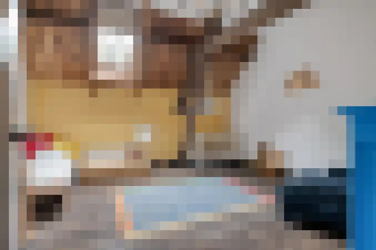 Beeksestraat 76 Prinsenbeek thumbnail 40