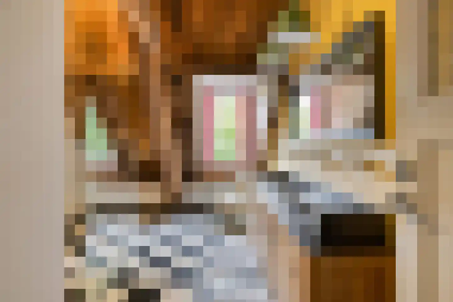 Beeksestraat 76 Prinsenbeek thumbnail 41