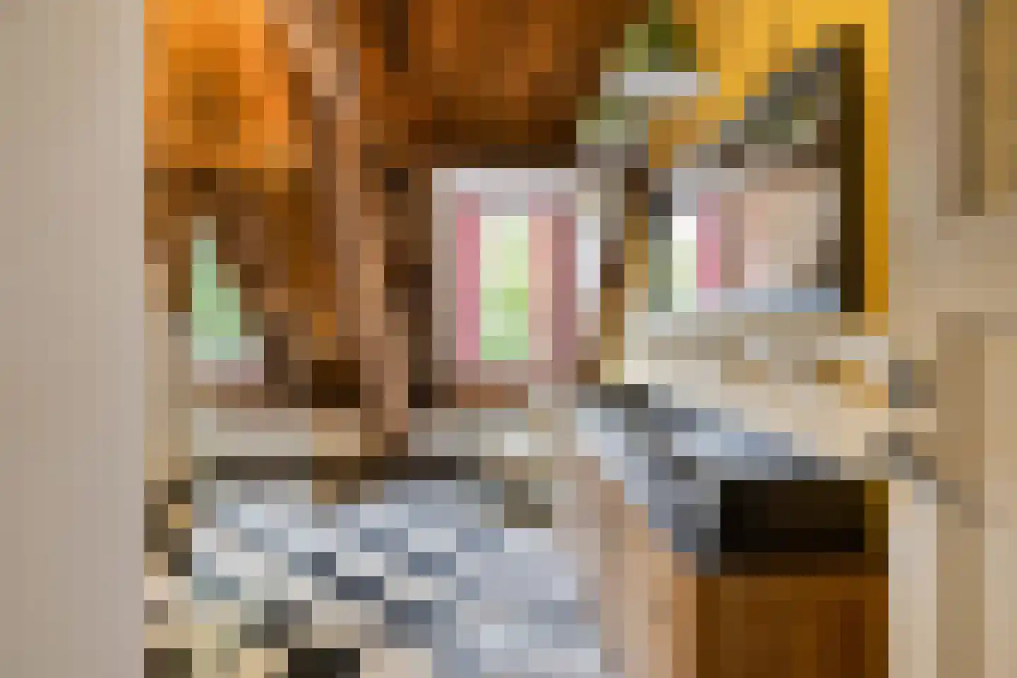 Beeksestraat 76 Prinsenbeek thumbnail 43