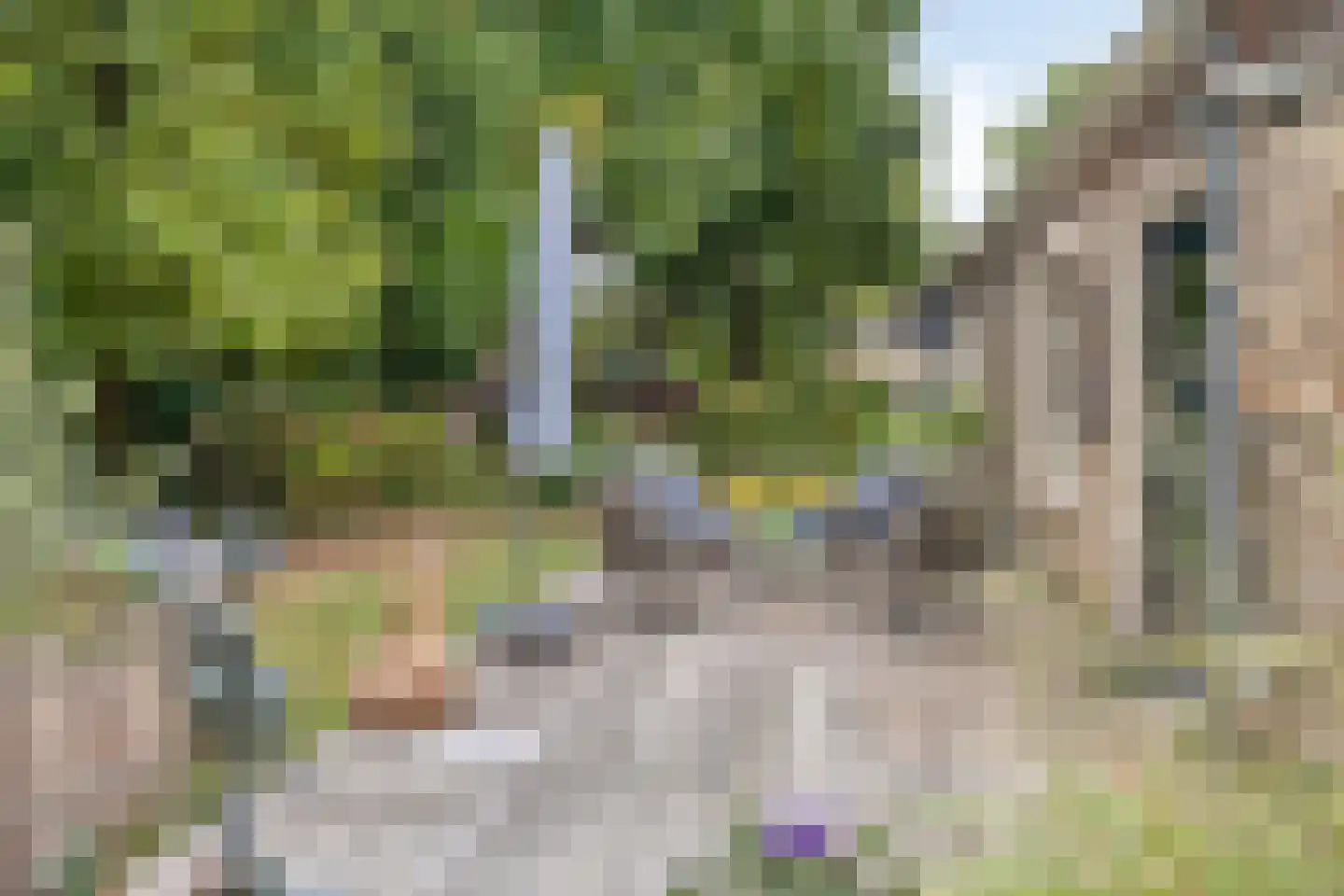 Beeksestraat 76 Prinsenbeek thumbnail 49