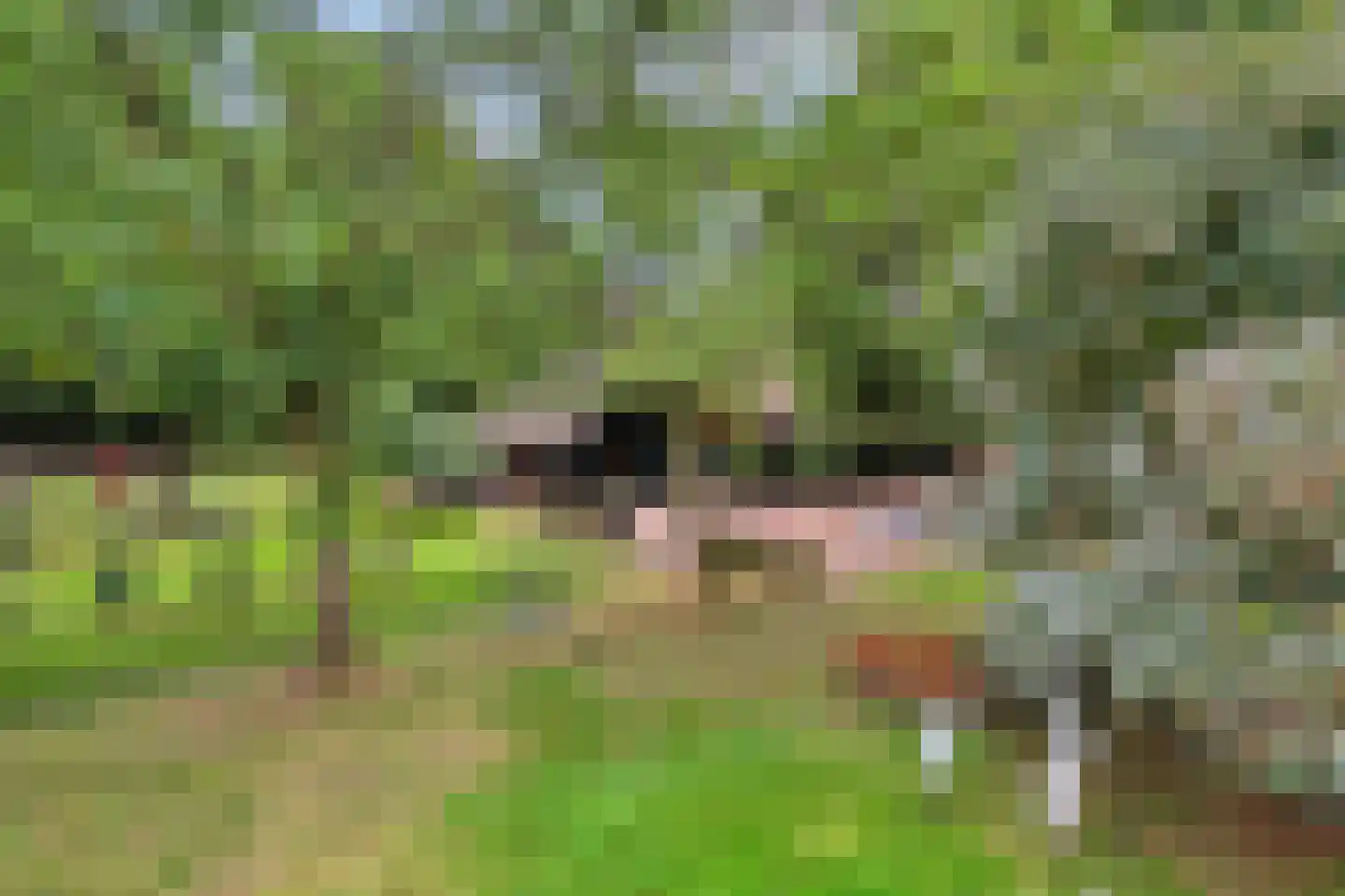 Beeksestraat 76 Prinsenbeek thumbnail 51