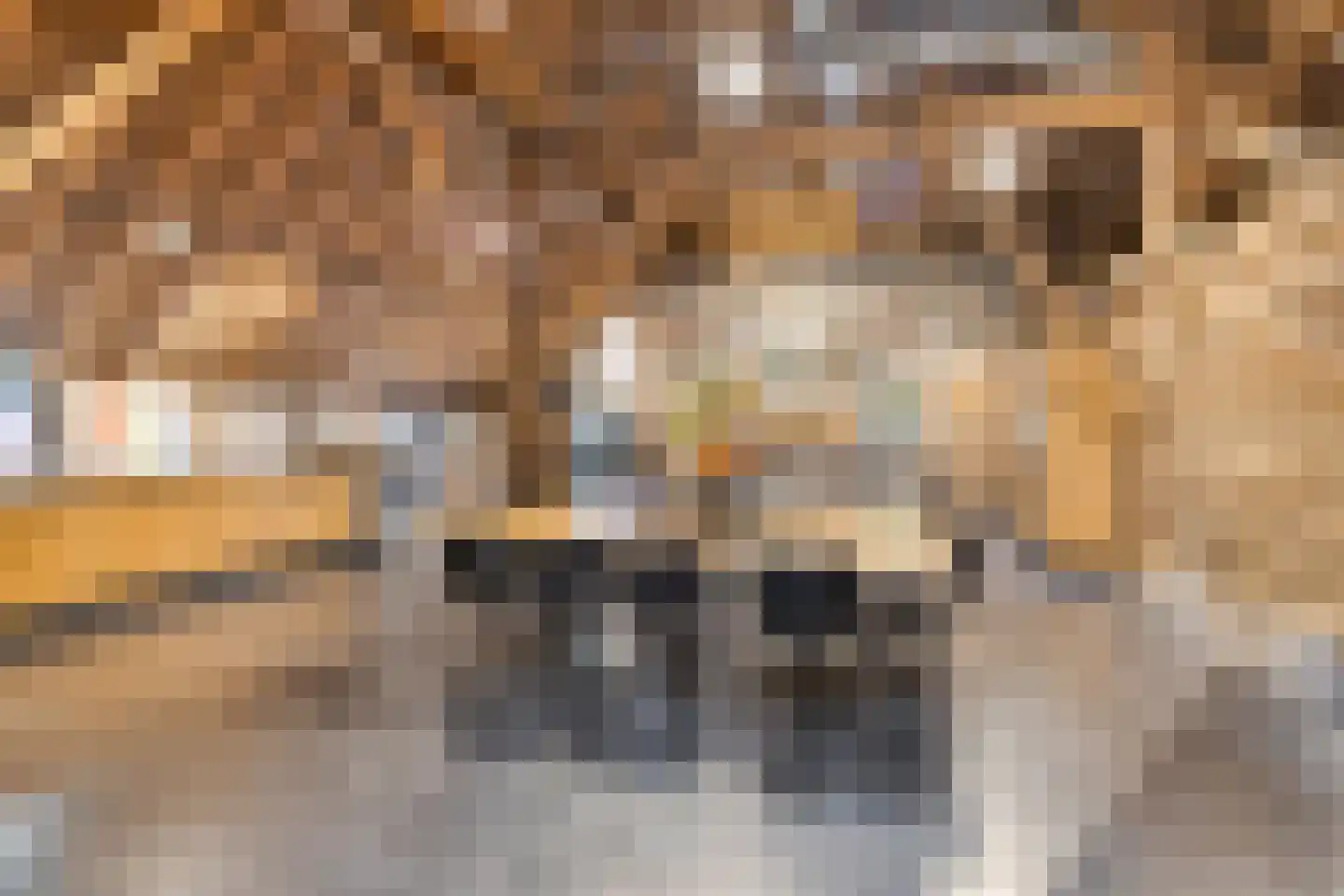 Beeksestraat 76 Prinsenbeek thumbnail 54