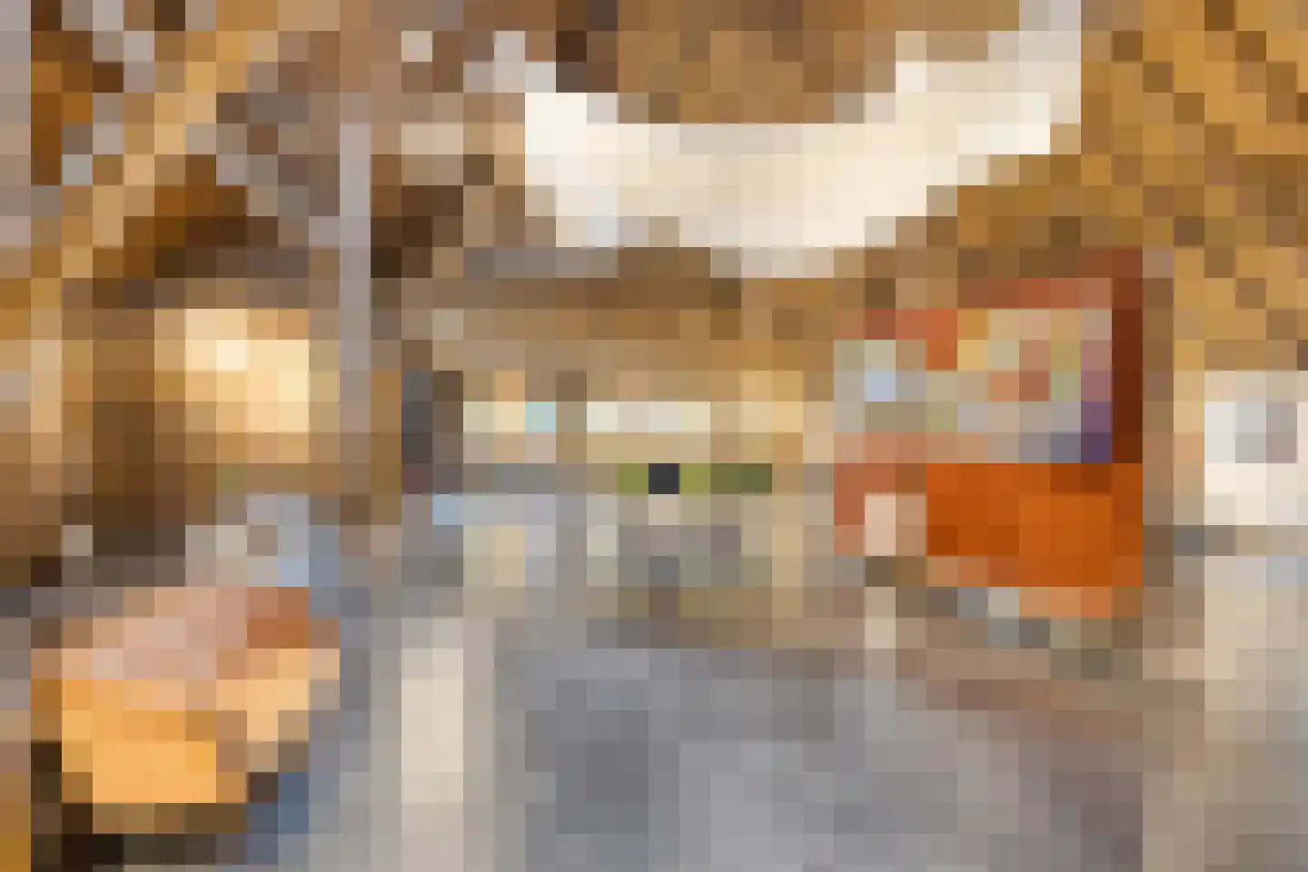 Beeksestraat 76 Prinsenbeek thumbnail 55