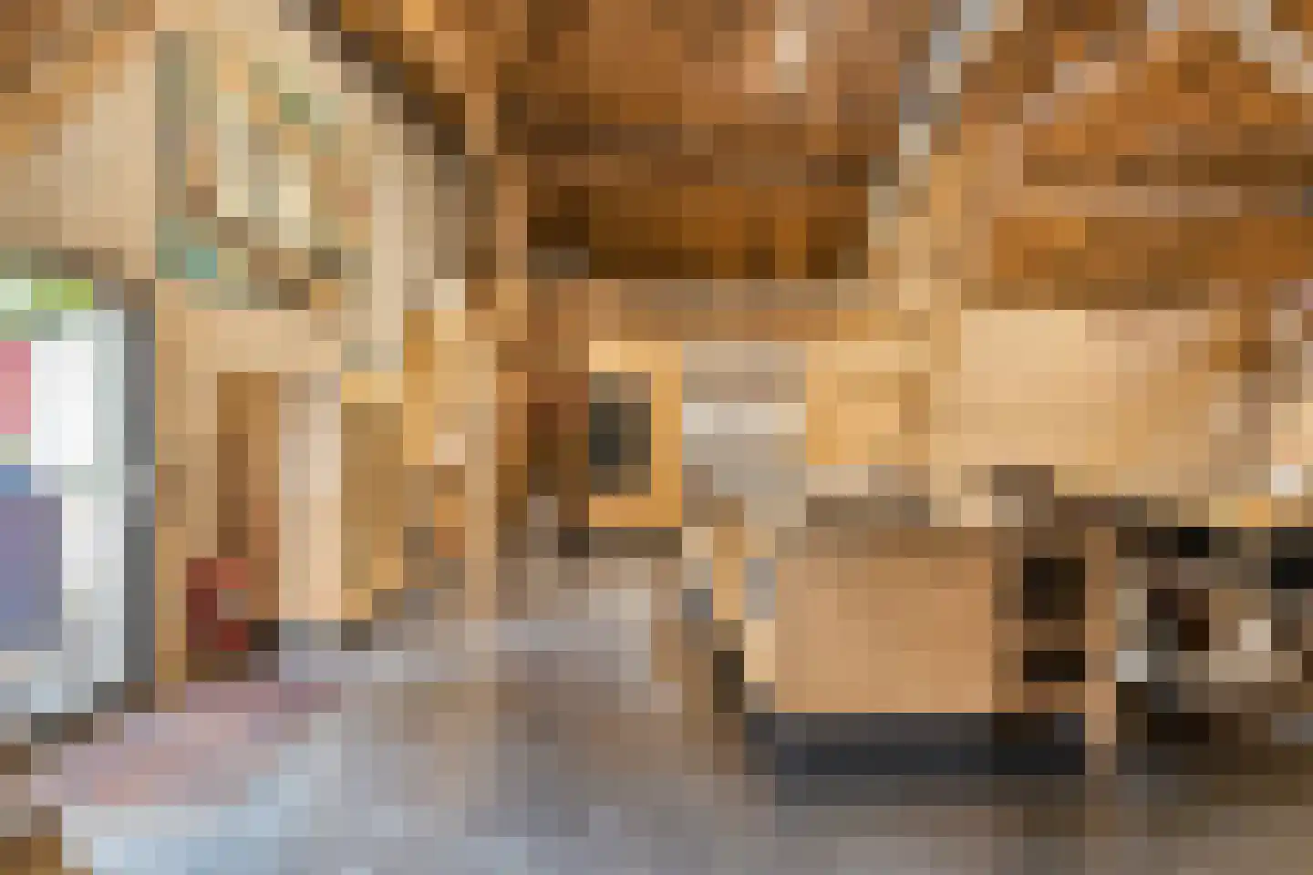 Beeksestraat 76 Prinsenbeek thumbnail 56