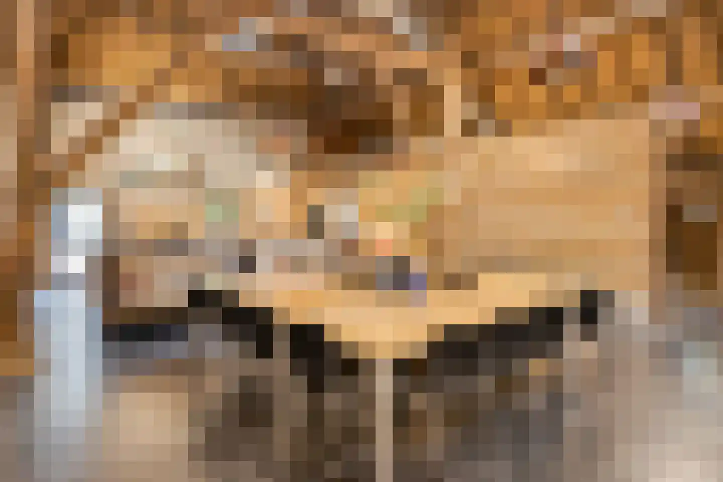 Beeksestraat 76 Prinsenbeek thumbnail 57