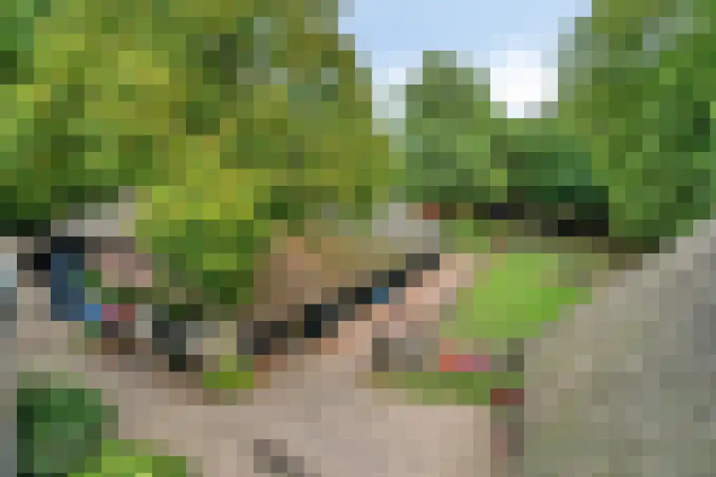 Beeksestraat 76 Prinsenbeek thumbnail 61