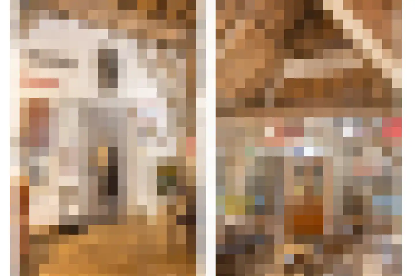 Beeksestraat 76 Prinsenbeek thumbnail 67