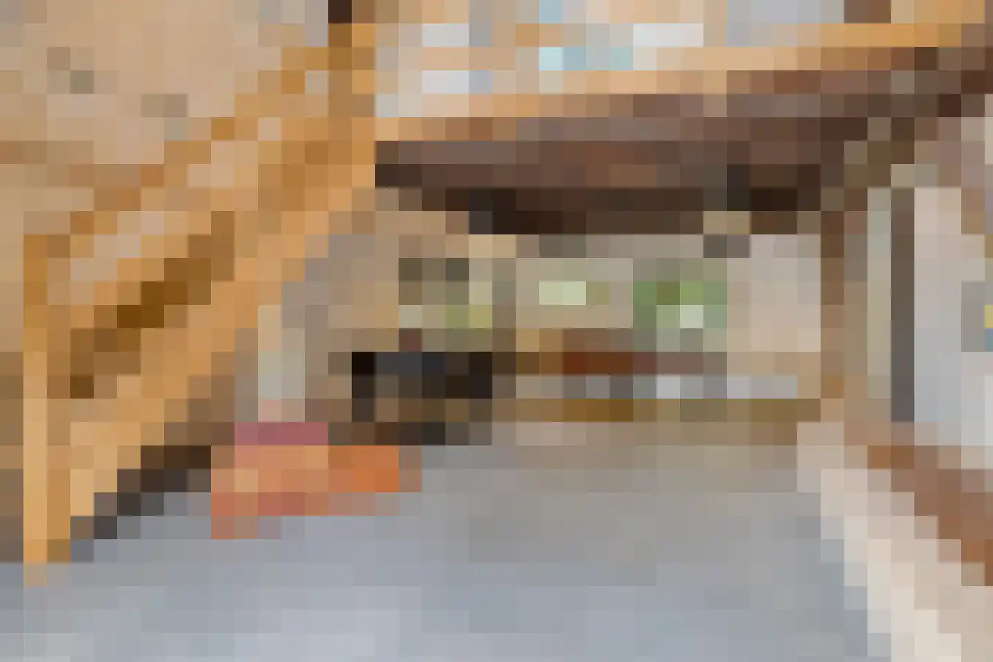 Beeksestraat 76 Prinsenbeek thumbnail 7