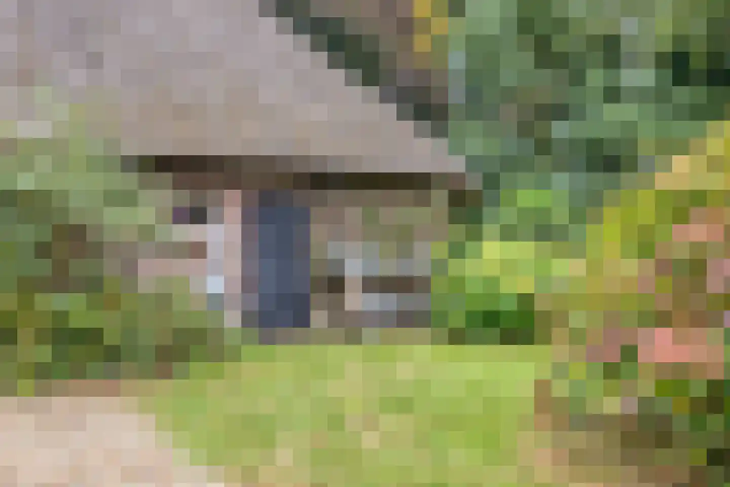 Beeksestraat 76 Prinsenbeek thumbnail 74