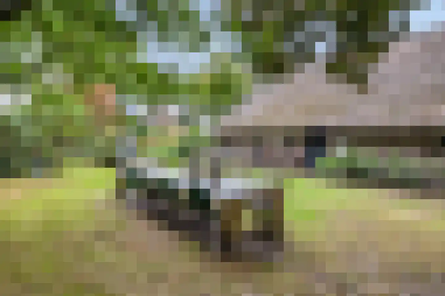 Beeksestraat 76 Prinsenbeek thumbnail 77