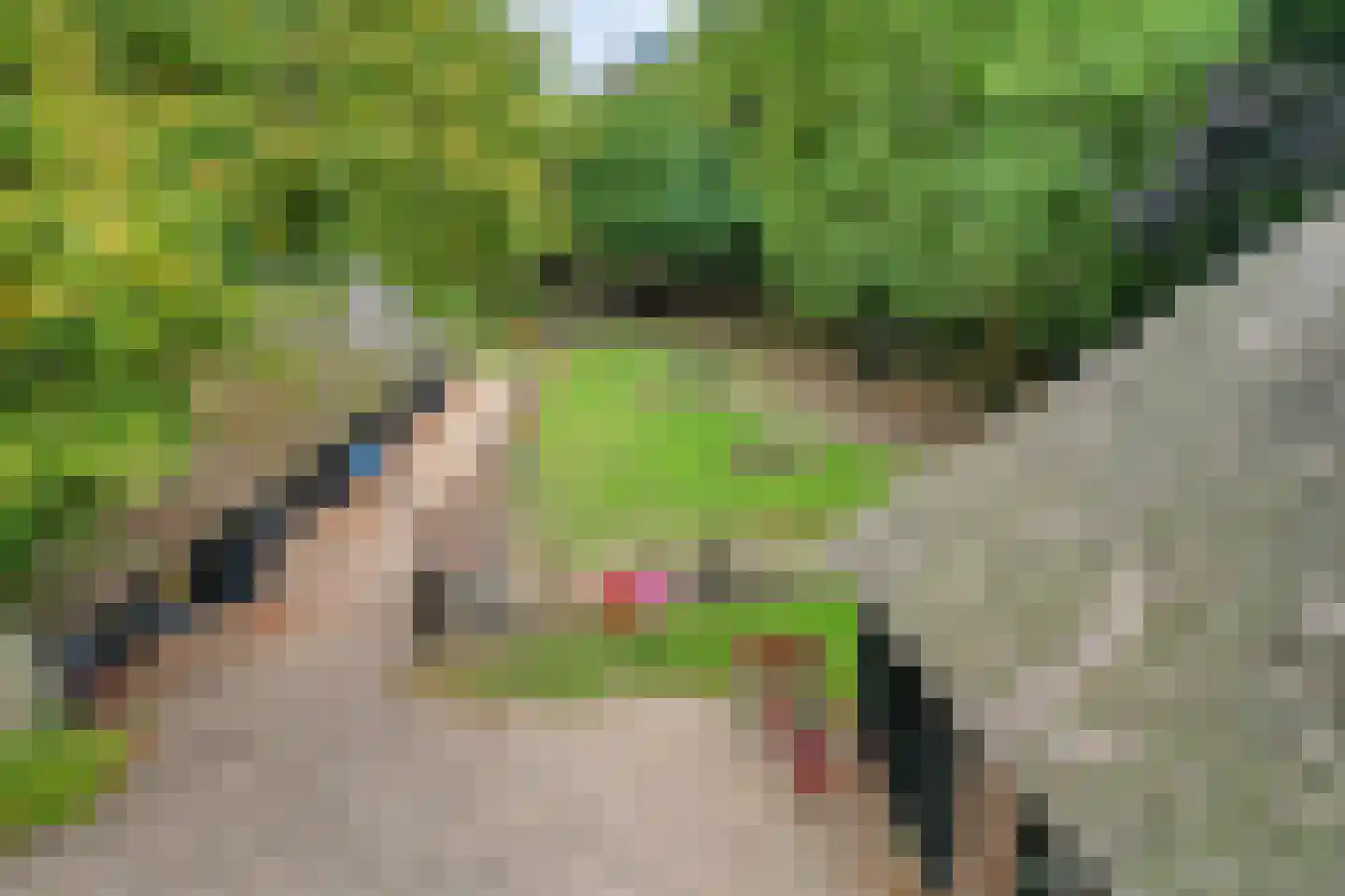 Beeksestraat 76 Prinsenbeek thumbnail 79