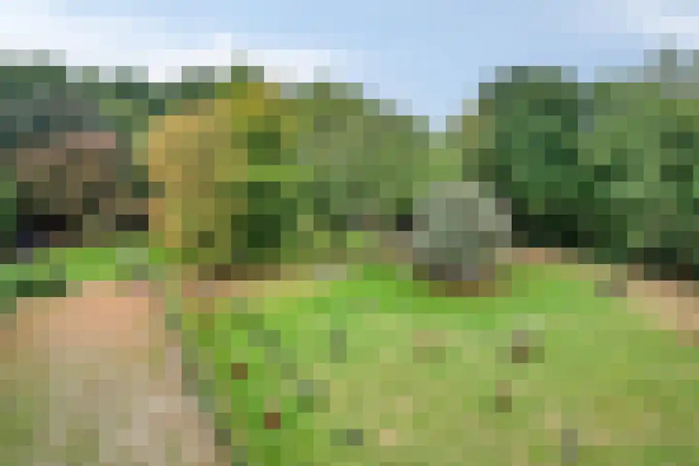 Beeksestraat 76 Prinsenbeek thumbnail 83