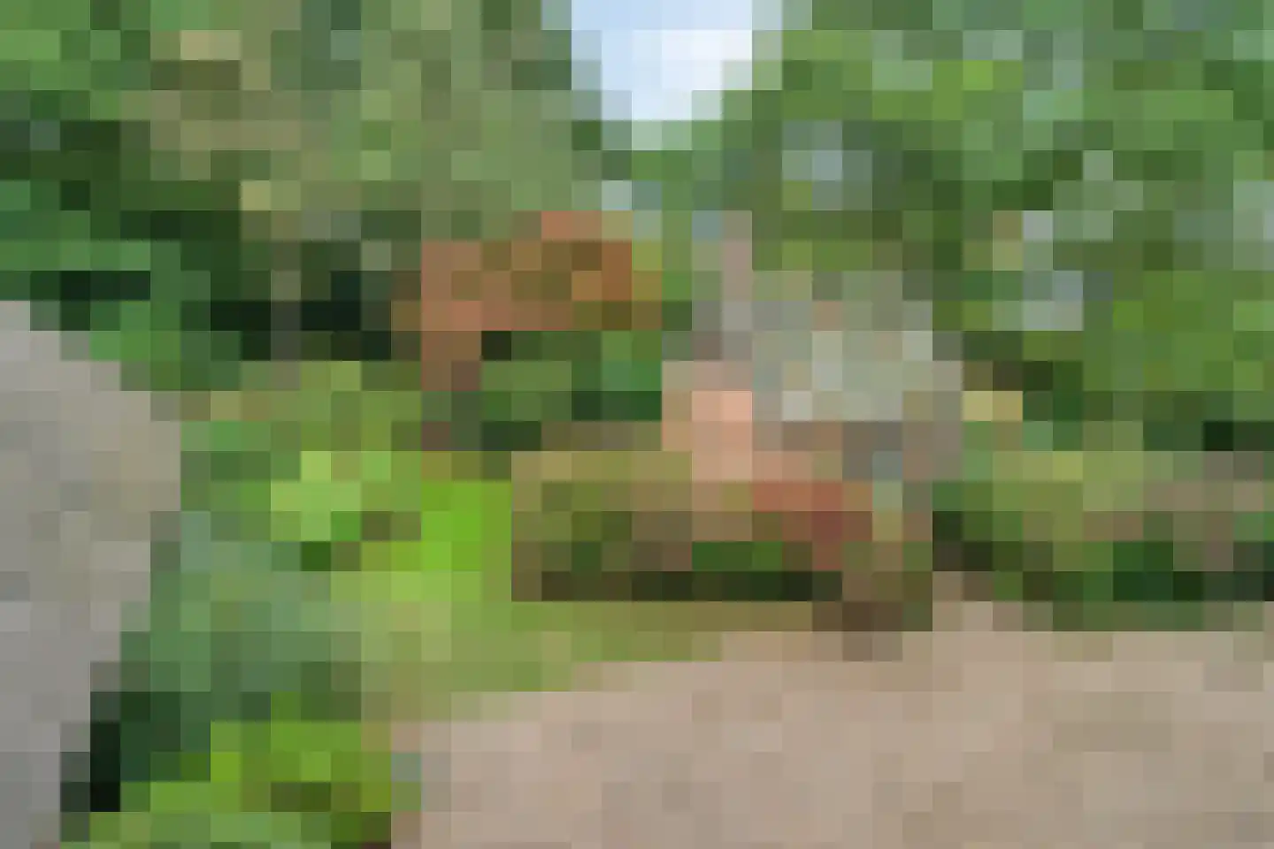 Beeksestraat 76 Prinsenbeek thumbnail 86