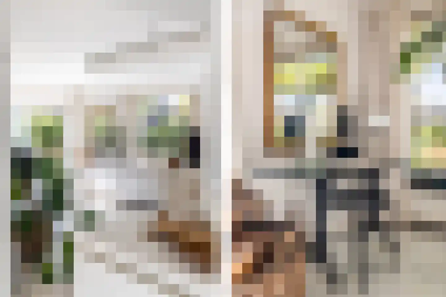 Beeksestraat 88 Prinsenbeek thumbnail 10