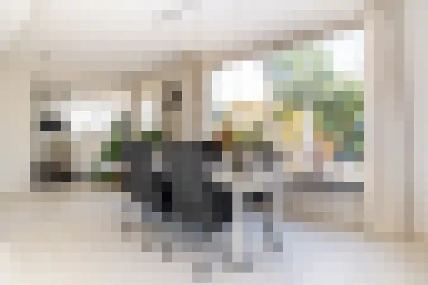 Beeksestraat 88 Prinsenbeek thumbnail 13