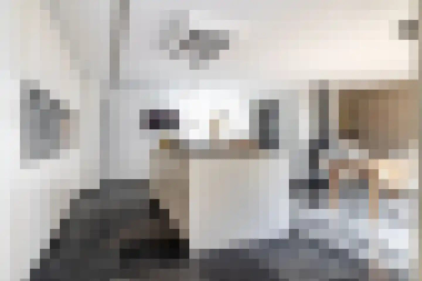 Beeksestraat 88 Prinsenbeek thumbnail 15