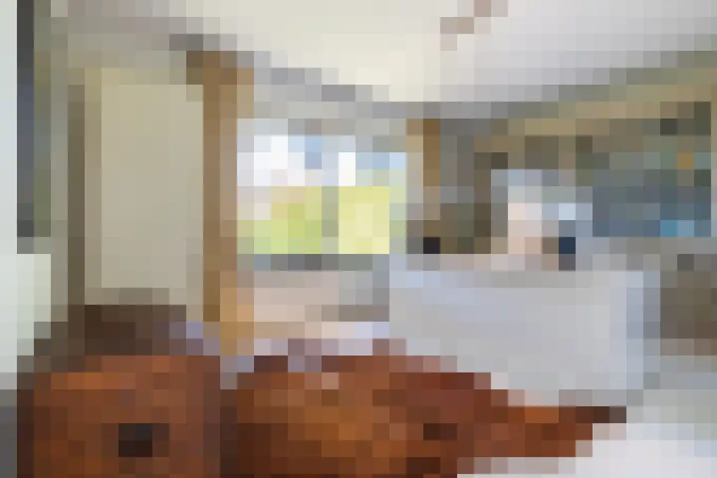 Beeksestraat 88 Prinsenbeek thumbnail 19