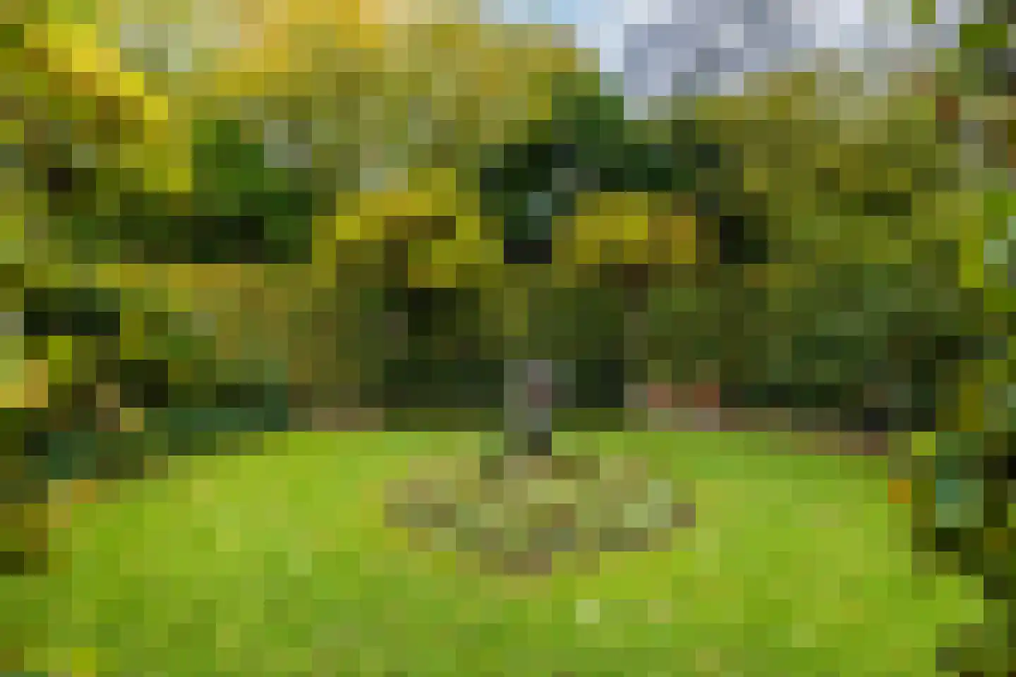 Beeksestraat 88 Prinsenbeek thumbnail 21