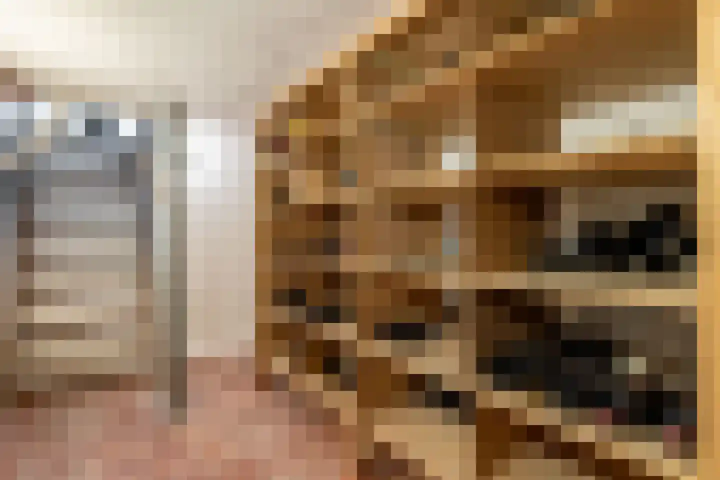 Beeksestraat 88 Prinsenbeek thumbnail 29