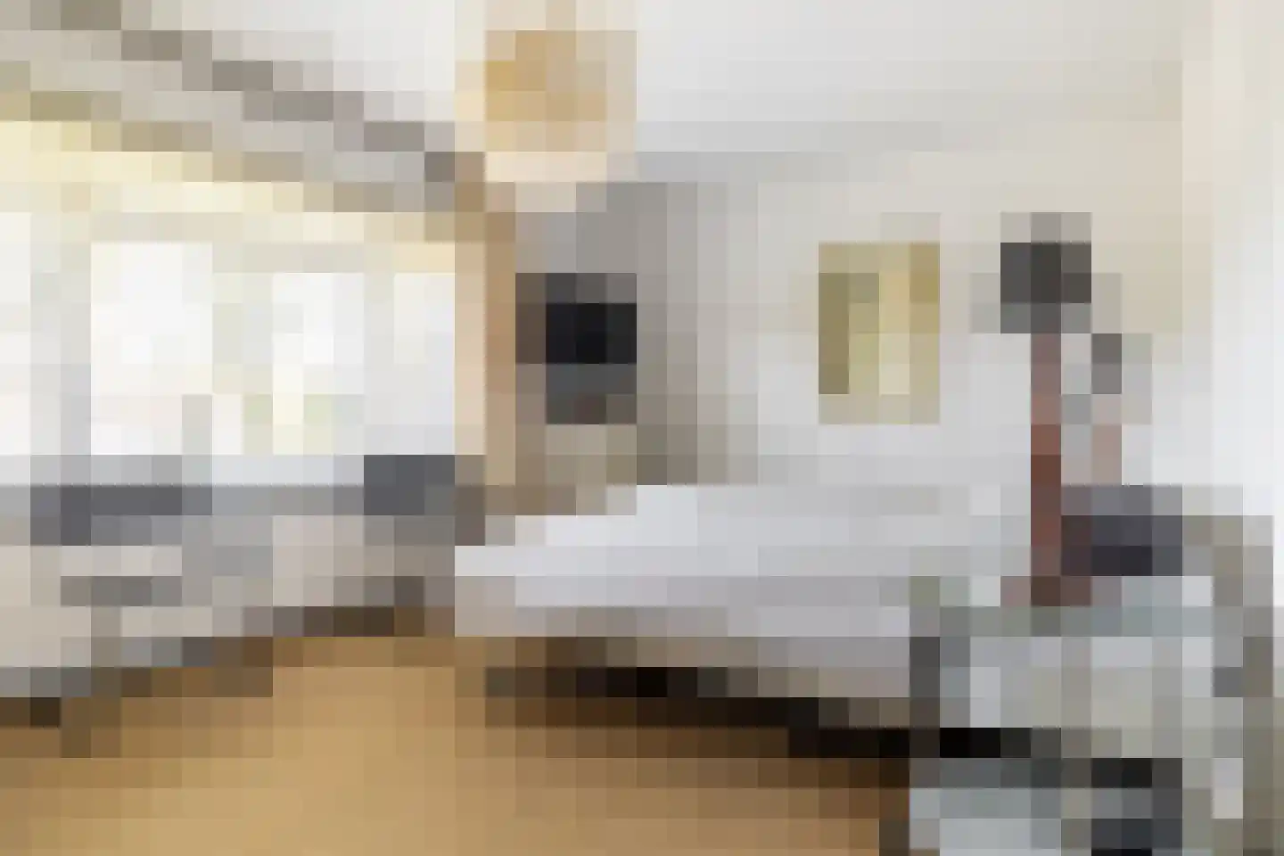 Beeksestraat 88 Prinsenbeek thumbnail 31
