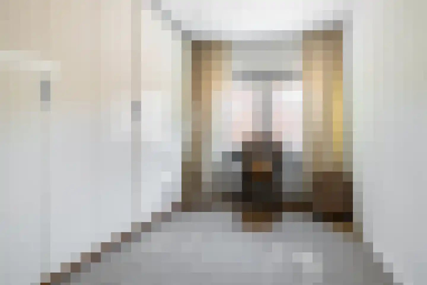 Beeksestraat 88 Prinsenbeek thumbnail 39