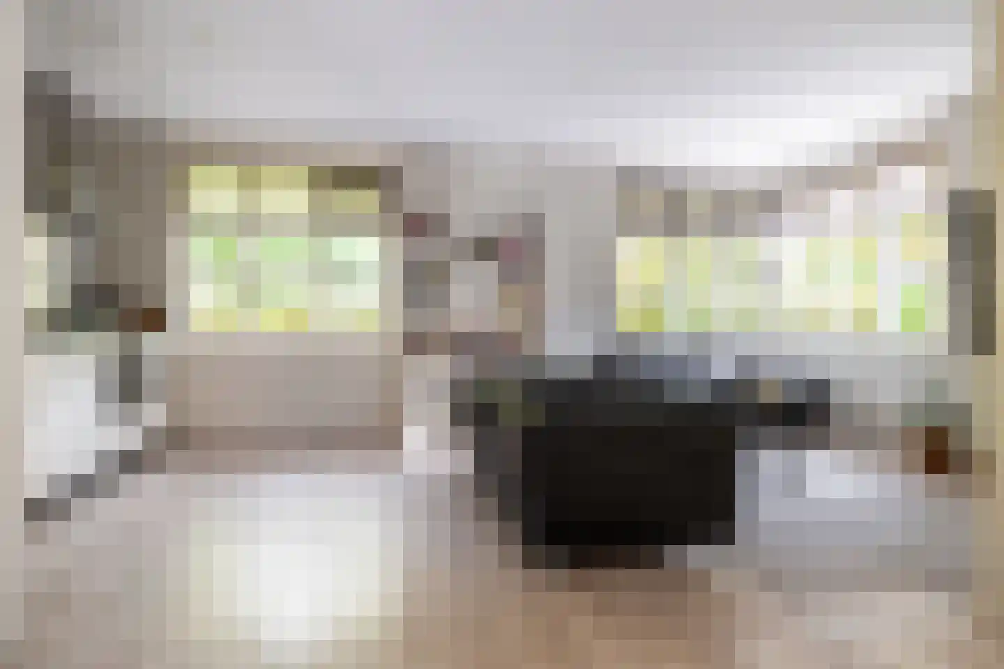 Beeksestraat 88 Prinsenbeek thumbnail 44