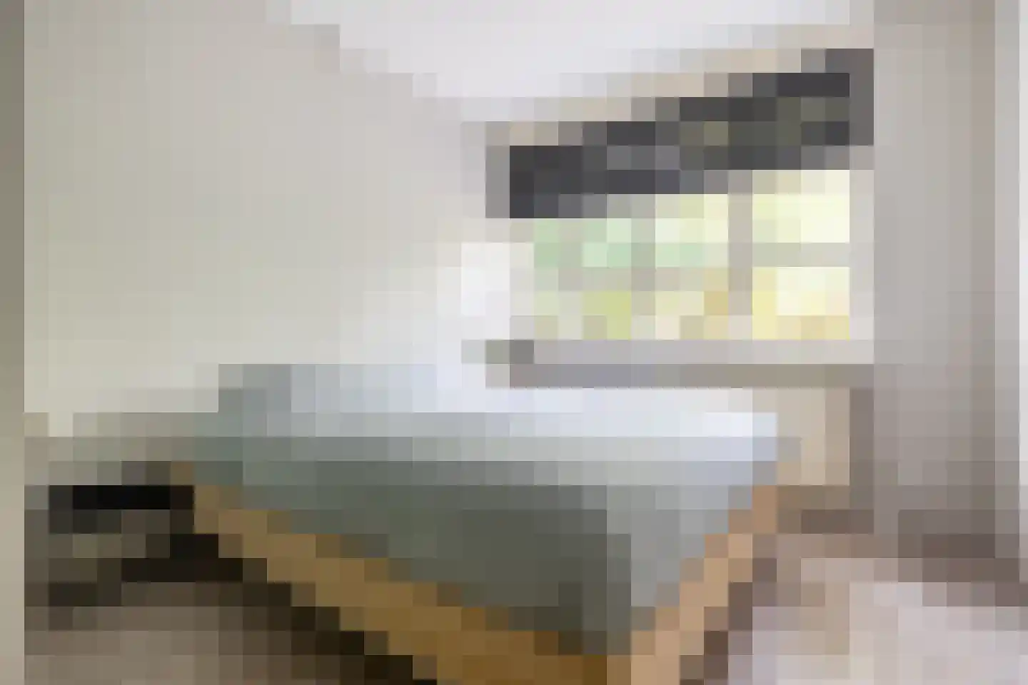 Beeksestraat 88 Prinsenbeek thumbnail 47