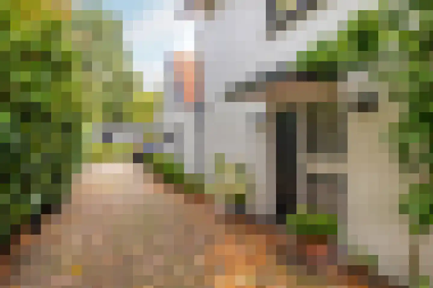 Beeksestraat 88 Prinsenbeek thumbnail 8