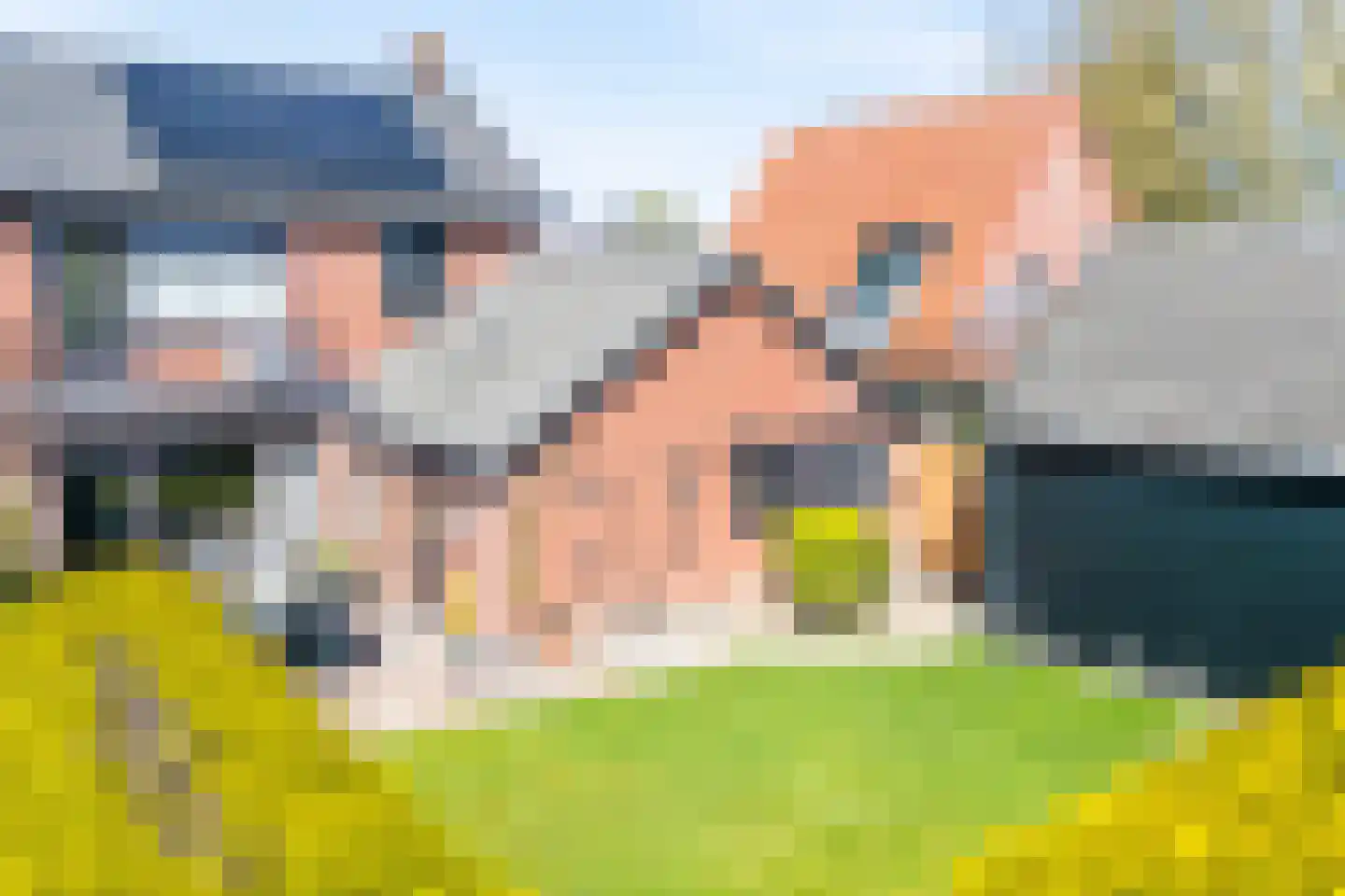 Beekseweg 13 Wehl thumbnail 24