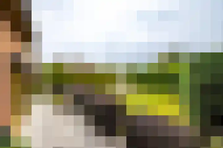 Beekseweg 15 Wehl thumbnail 22