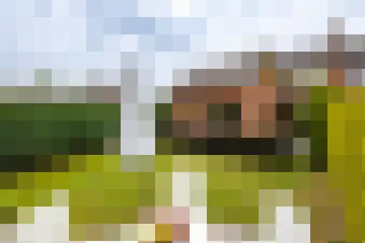 Beekseweg 15 Wehl thumbnail 24