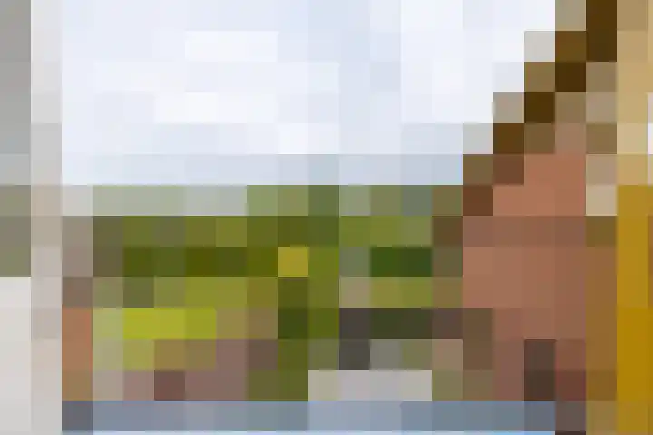 Beekseweg 15 Wehl thumbnail 37