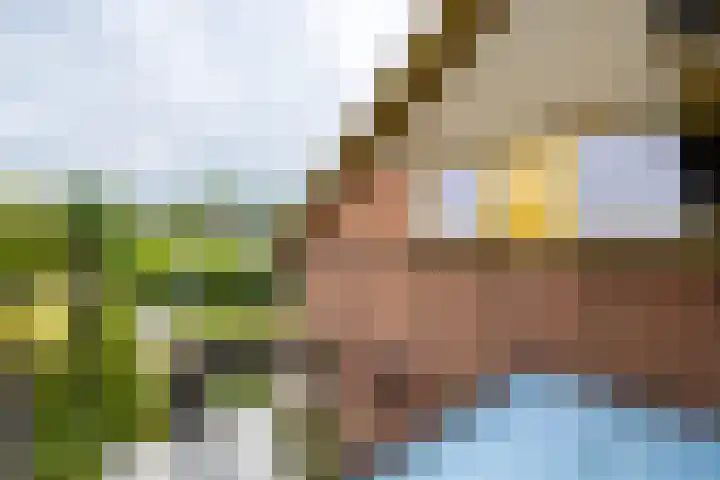 Beekseweg 15 Wehl thumbnail 38