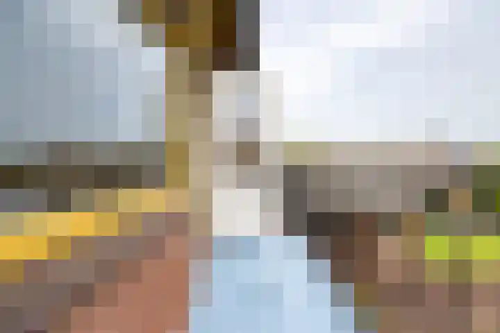 Beekseweg 15 Wehl thumbnail 39