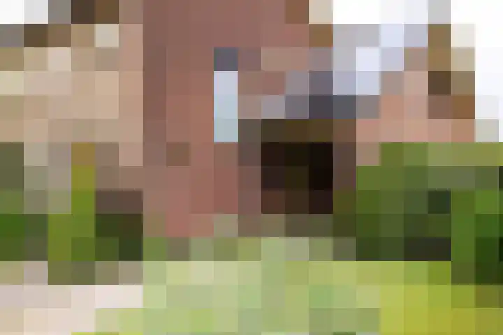 Beekseweg 15 Wehl thumbnail 54